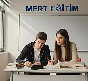 edebiyat-birebir-ders-ozel