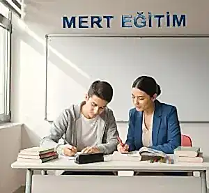 lgs-ozel-birebir-dersi